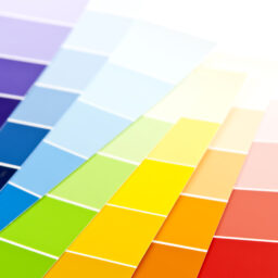 What types of NF are there?